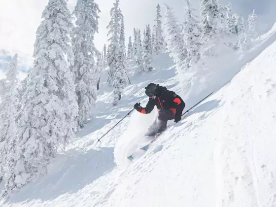 Skier at RED Mountain, Rossland BC photo Ashley Voikin