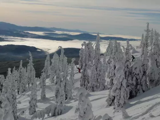 Baldy Mountain Resort Skiers-Distance Credit SnowSeekers Photographer Chris Wheeler