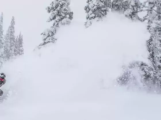 Powder King Ski North BC