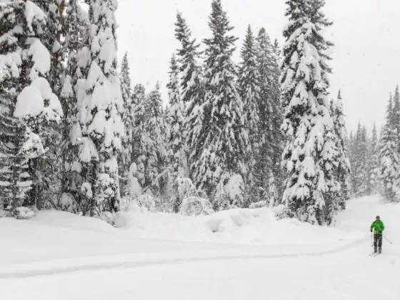 Two people cross country ski while it snows in Smithers BC