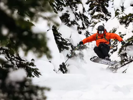 Skiing glades Powder King BC Marty Clemens