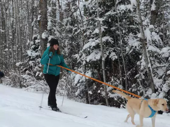 Lac La Biche Nordic Skiing 