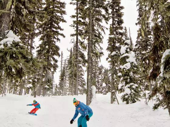 Troll Ski Resort tree skiing snowboarders