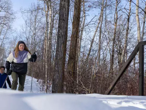 Vermilion Alberta #SkiNorthAB Cross Country Skiing 