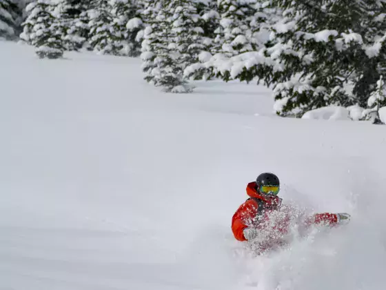 A skier goes down a hill throwing up snow in their path