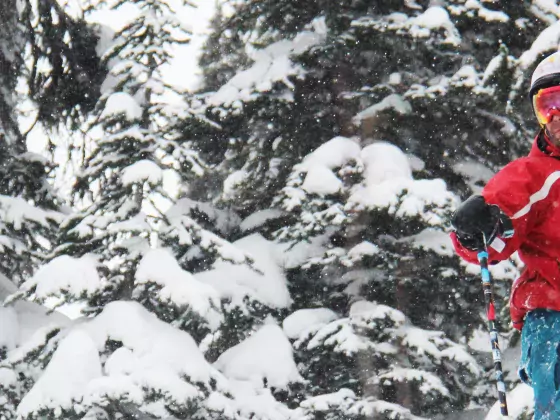 Looking down at Powder King