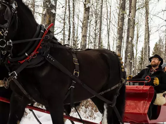 Sleighing B & T Rides Smithers BC Marty Clemens