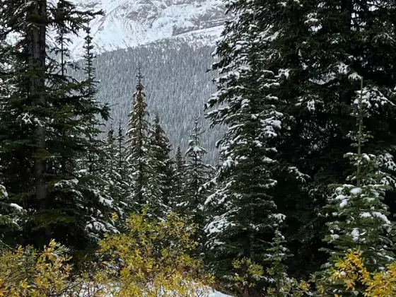 SNow sept 19 icefields parkway Jeremy Derksen SnowSeekers