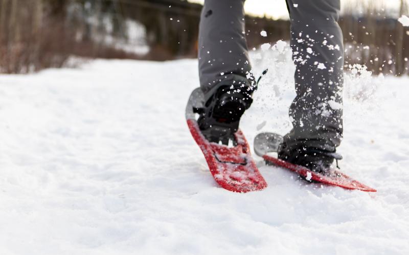 5 reasons why winter 2021 could be great SnowSeekers