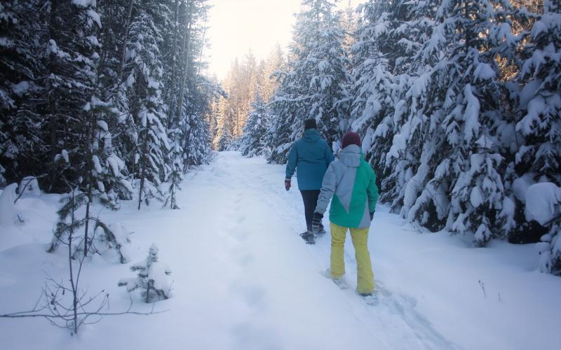 Discovering the Cariboo, 72 Hours in Quesnel SnowSeekers