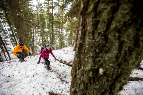 Quesnel winter trails 