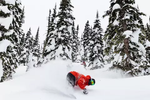 Pow slash snowboarder in Powder King trees Marty Clemens BC
