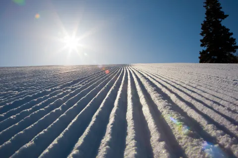 Groomed snow