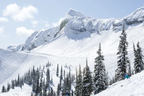 Fernie Alpine Resort