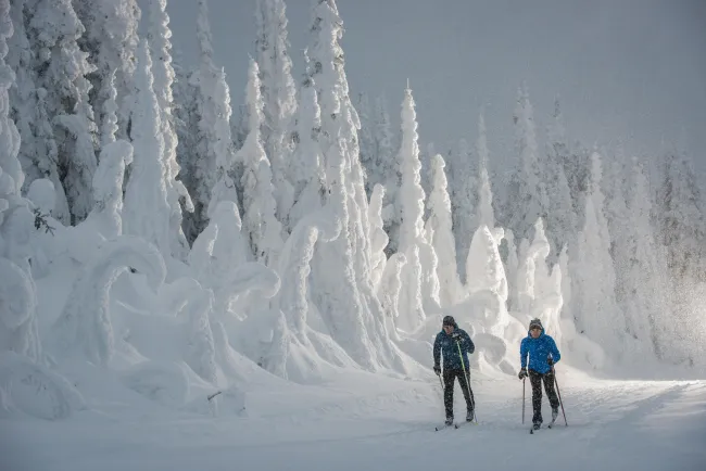Cross country skiing SilverStar