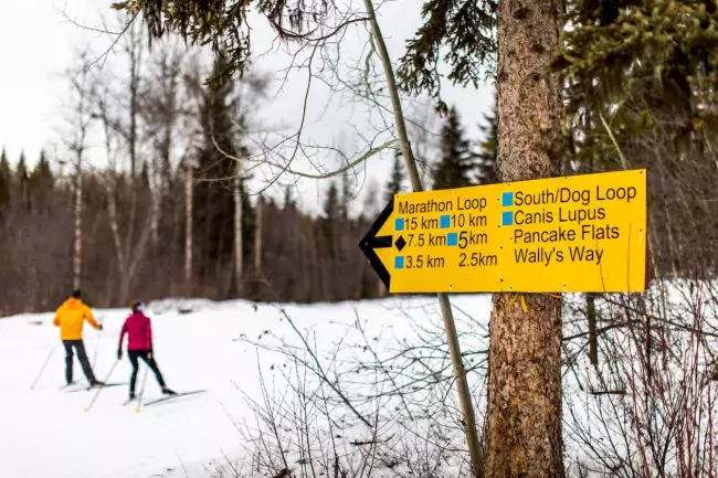 Quesnel trails winter 