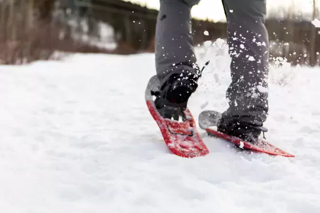 Close up of feet snowshoeing in Quesnel BC