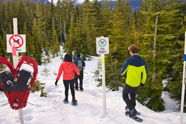 Snowshoeing Raven Lodge Mt Washington BC Stevie Froese