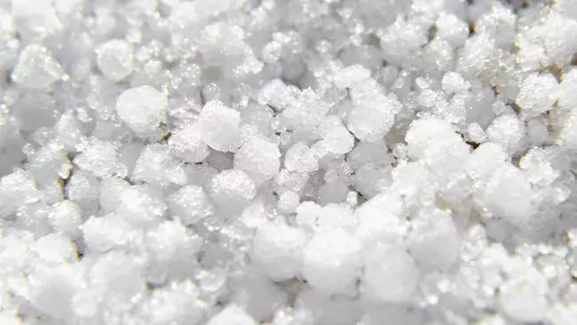 SnowSeekers Snow Graupel Pellets