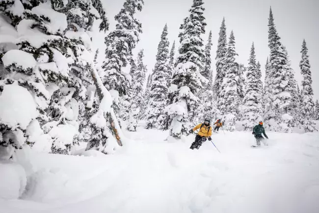 Powder King BC Marty Clemens powder skiing