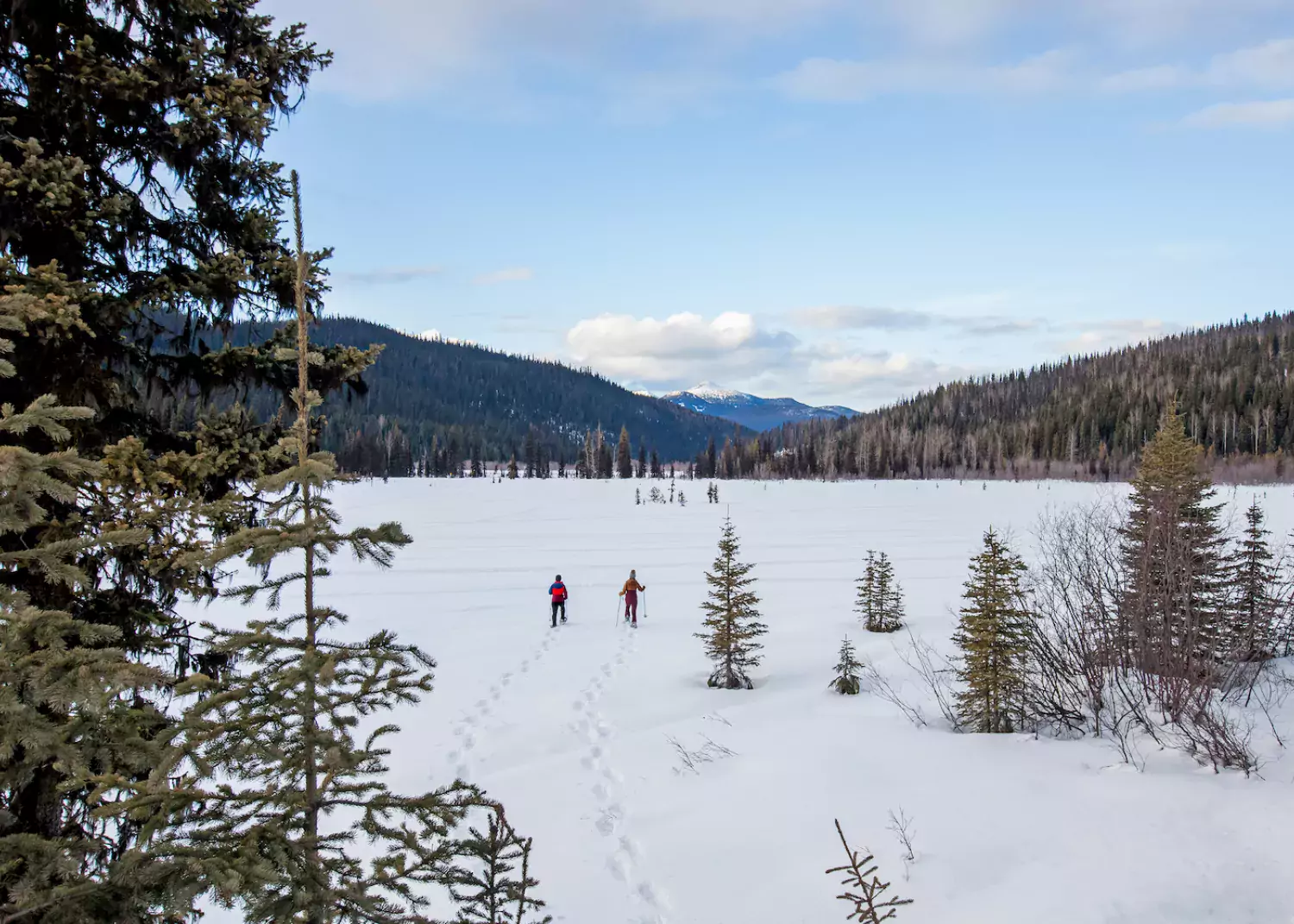 Wells BC Snowshoeing Two Sisters Bonnie Grenon