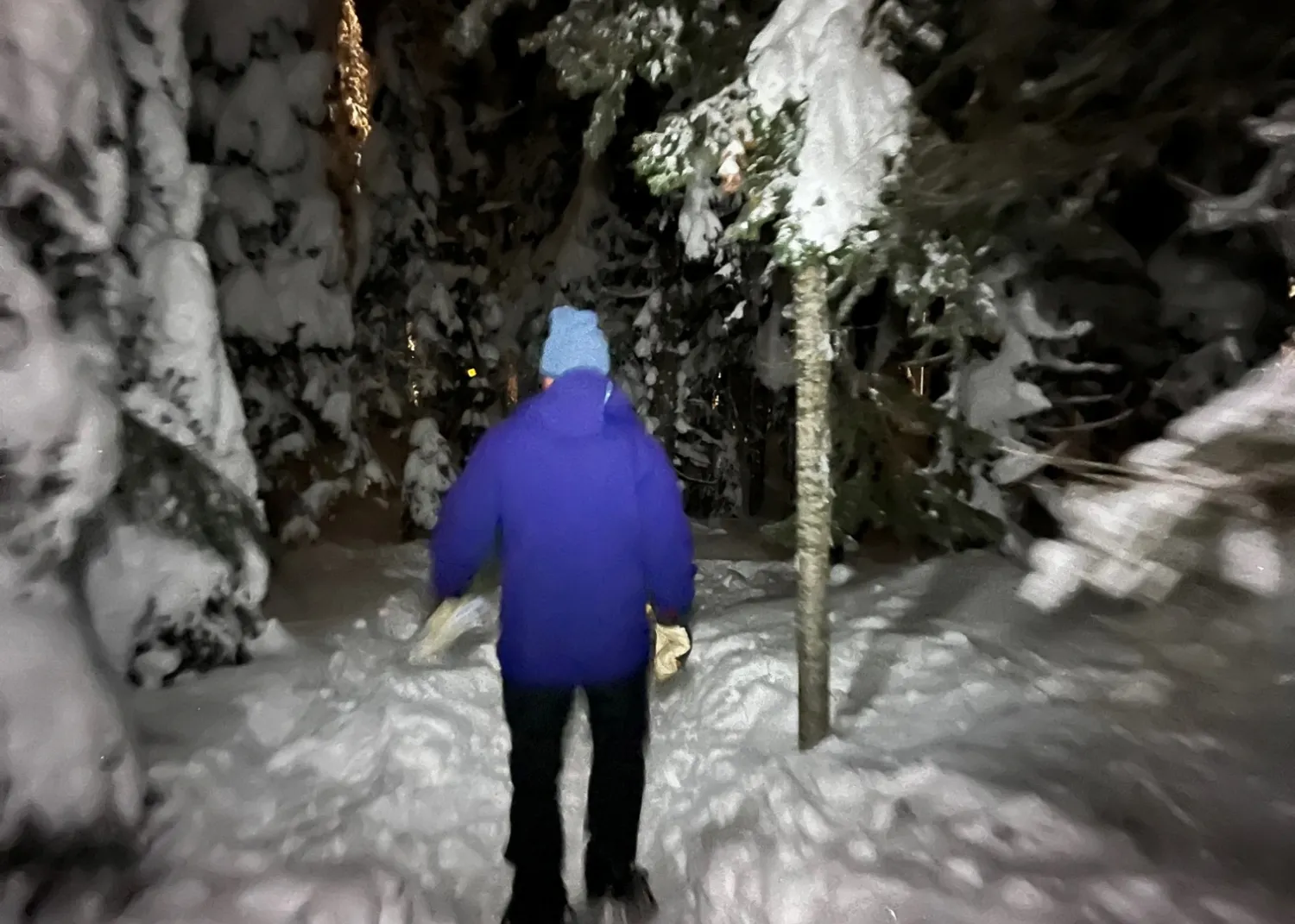 snowshoeing SilverStar BC Jim Barr