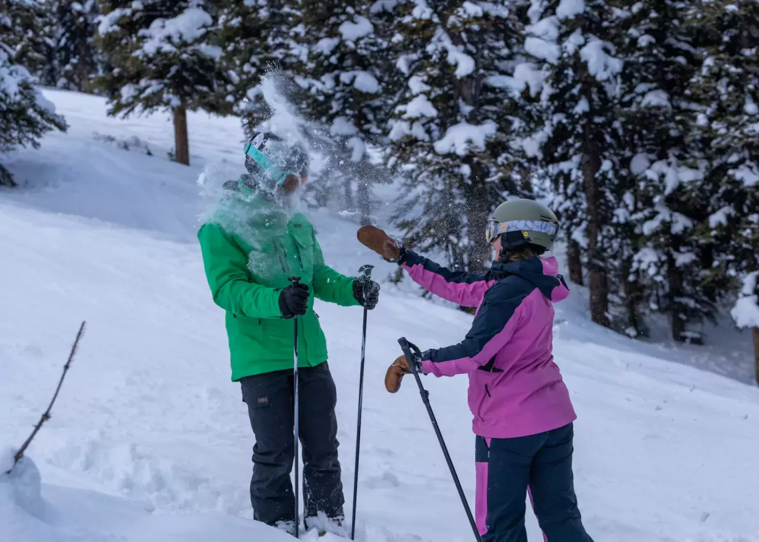 Marmot Basin Jasper AB Paul Lavoie