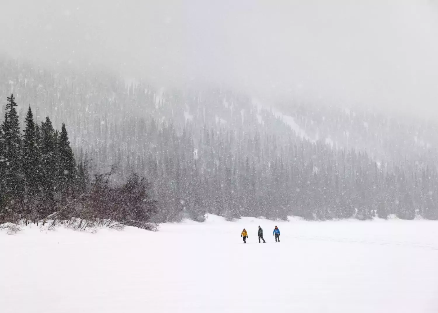 You can have it all to yourself when you go snowshoeing on Azouzetta Lake. / Marty Clemens Azouzetta Lake snowshoeing  Powder King BC Marty Clemens