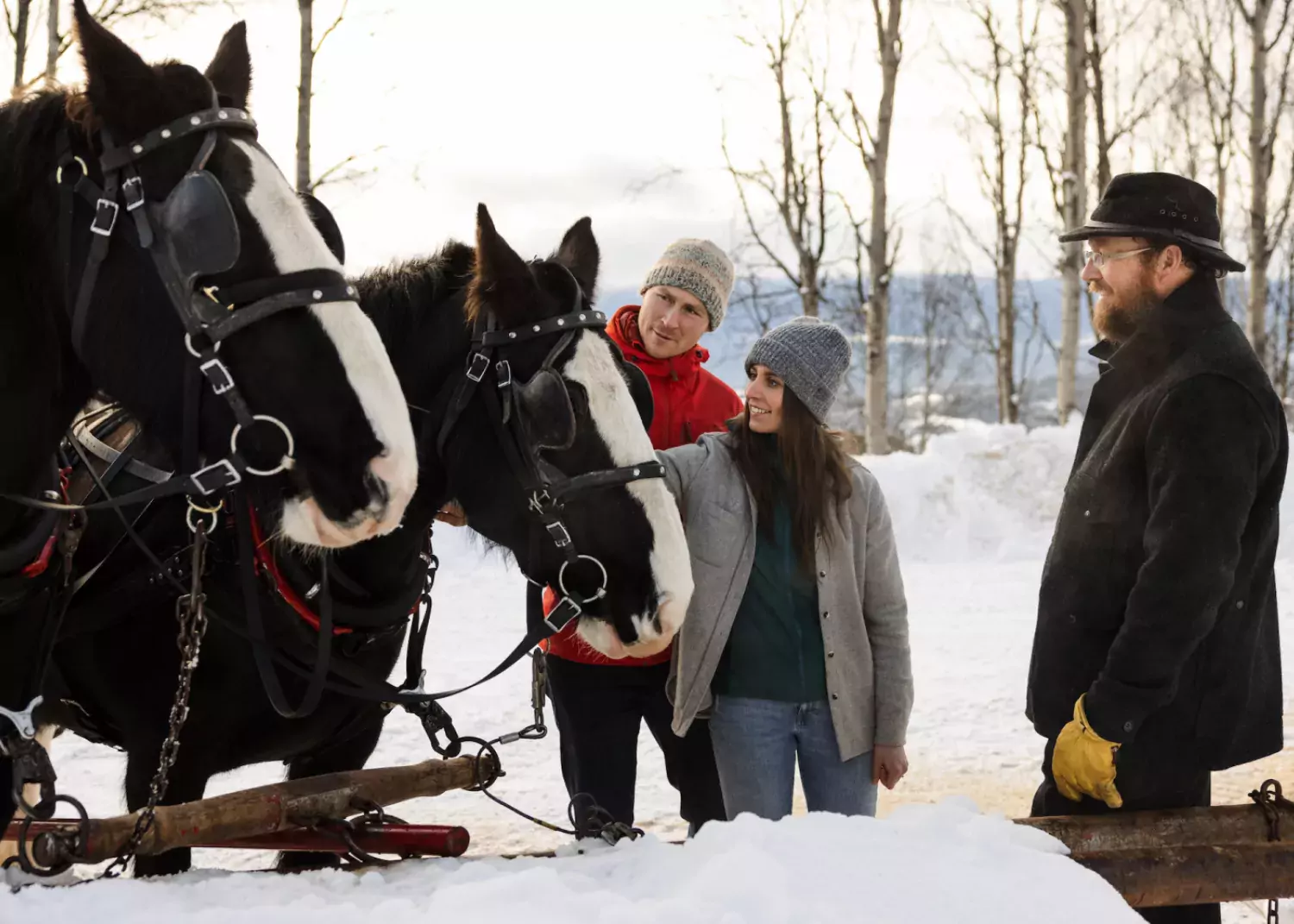 Sleigh Ride Smithers BC Marty Clemens