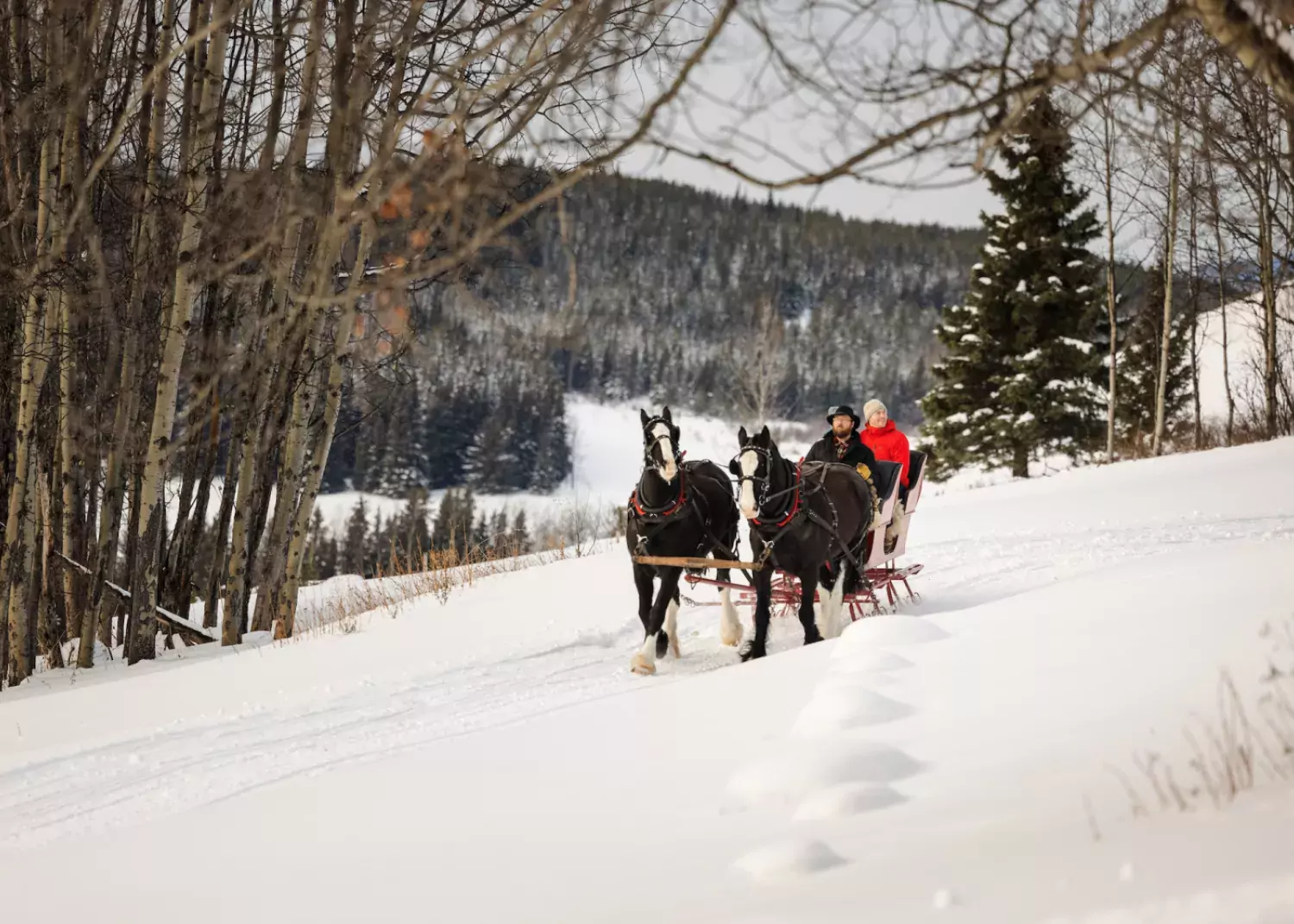 Sleigh Ride Smithers BC Marty Clemens
