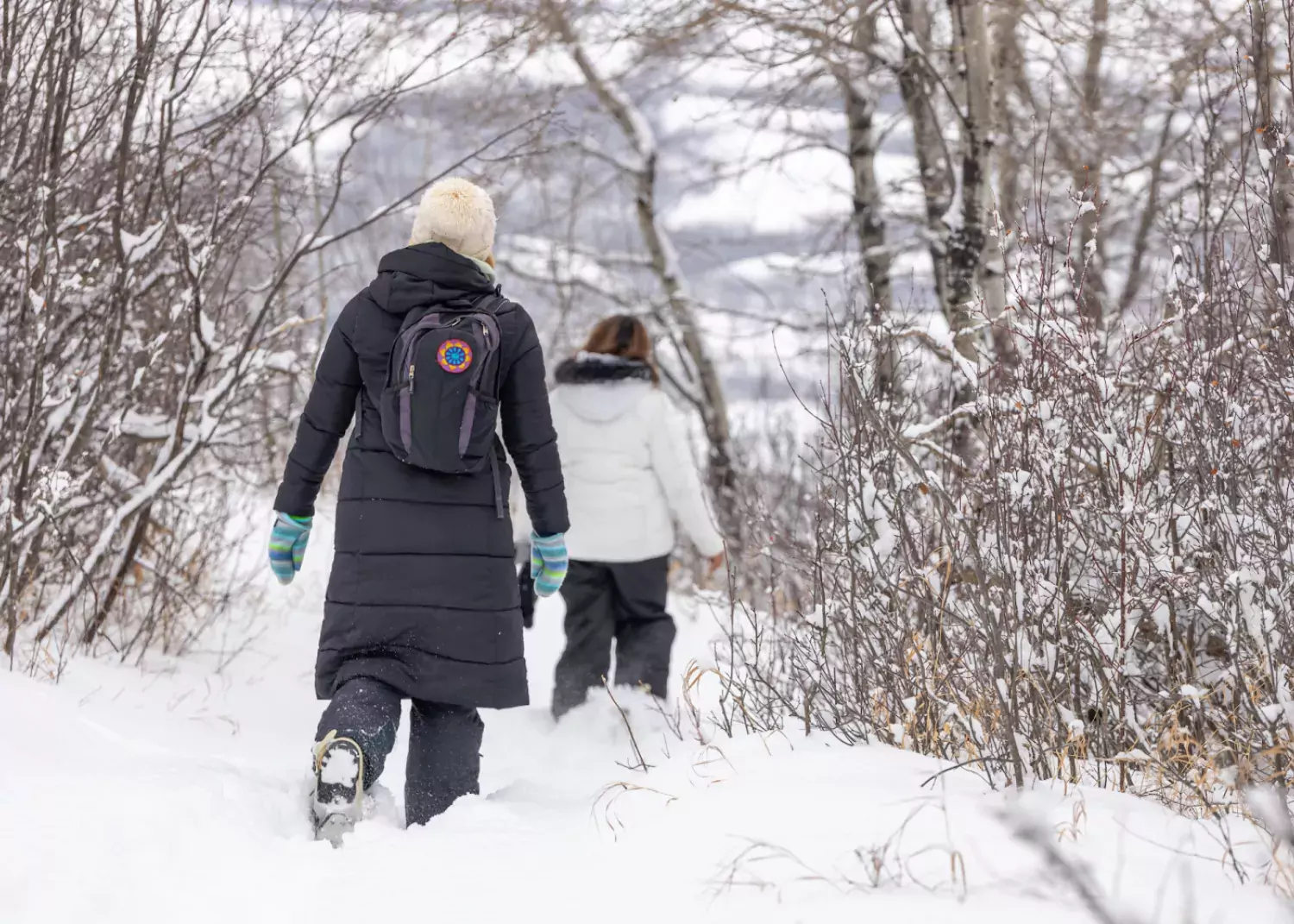 Snowshoeing Misery Mountain Peace River