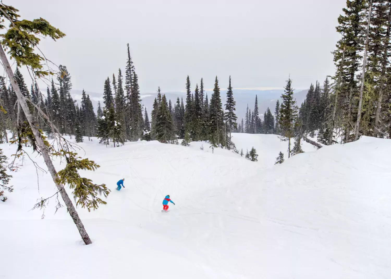 It's bigger on the outside at Troll, where the hill's rolling features obscure its size. / Bonnie Grenon Troll Ski Resort BC