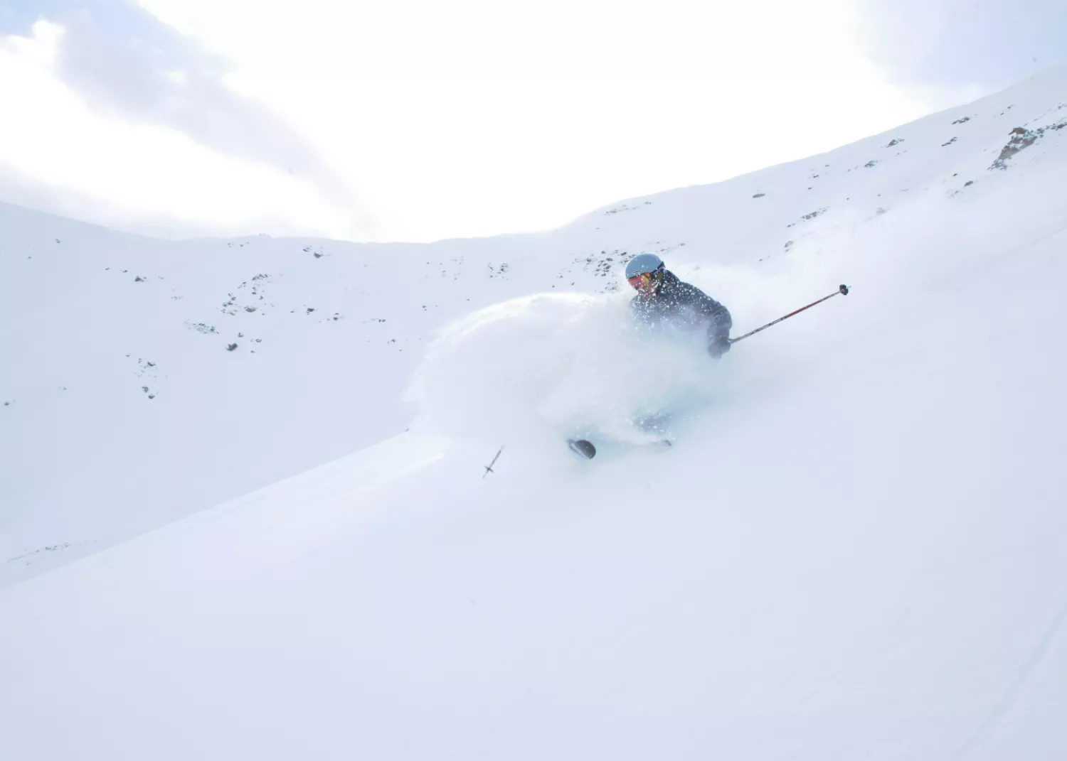 Marmot powder