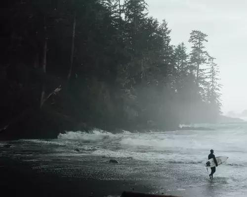 Tofino